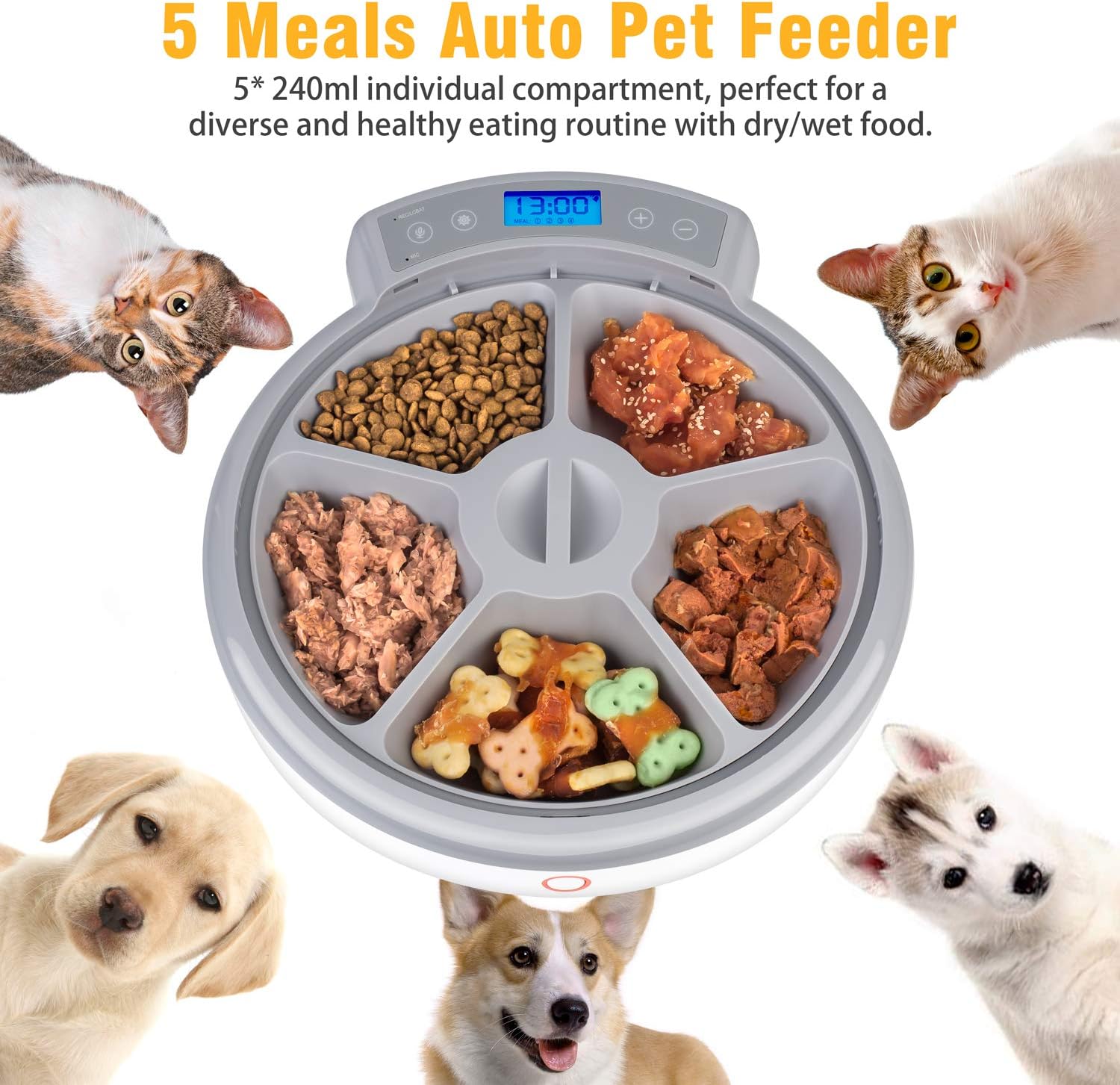 Pet Supplies : Casfuy 5-meals Automatic Cat Feeder - Auto Pet Feeder with Programmable Timer Dry and Wet Food Dispenser Voice Recorder & Speaker for Cat and Small Medium Dog Portion Control Dual Power Supply 5x240ml : 