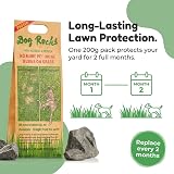 Dog Rocks Urine Patch Preventer 200g Natural Pet Water Filter Grass Repair view 3