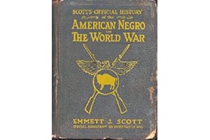 THE AMERICAN NEGRO IN THE WORLD WAR