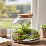 Glass Terrarium Succulent Plant House with LED Lights view 5