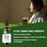Vimergy Olive Leaf Extract 115 ml 200 mg Organic Liquid Drops view 3