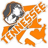 Desert Cactus University of Tennessee Sticker UT Knoxville Volunteers Vols Sticker Vinyl Decals Laptop Water Bottle Car Scrapbook Sheet T2 (Type 2-3)