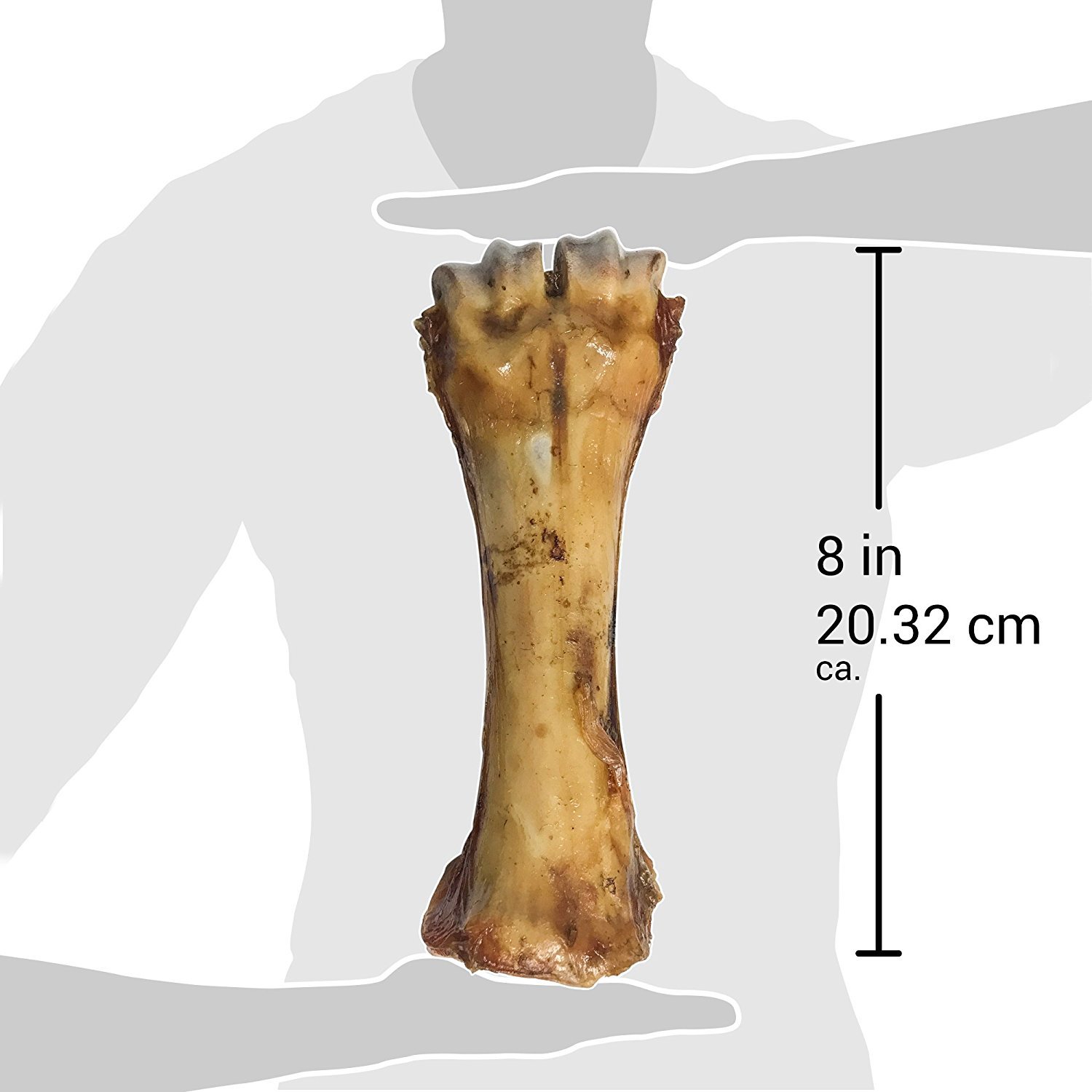 Jack&Pup Premium Grade Roasted Meaty Beef Shin Bone Dog Treats (3 Pack) – 8” Long Lasting All Natural Gourmet & Healthy Dog Bone Treat Chews – Savory Smoked Beef Flavor