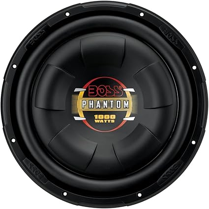 12 inch 100 watt subwoofer
