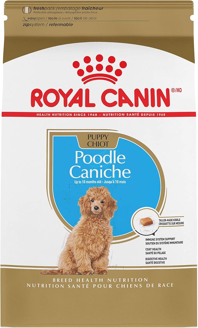 best dry food for labradoodles