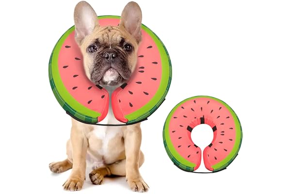 FAIRWIN Inflatable Dog Collar Recovery Cone for Medium Waterproof Elizabethan Pillow Blow Up Pet Cone Collar Surgery Donut Co