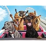Buffalo Games - Fun at The Amusement Bark - 750 Piece Jigsaw Puzzle, Black