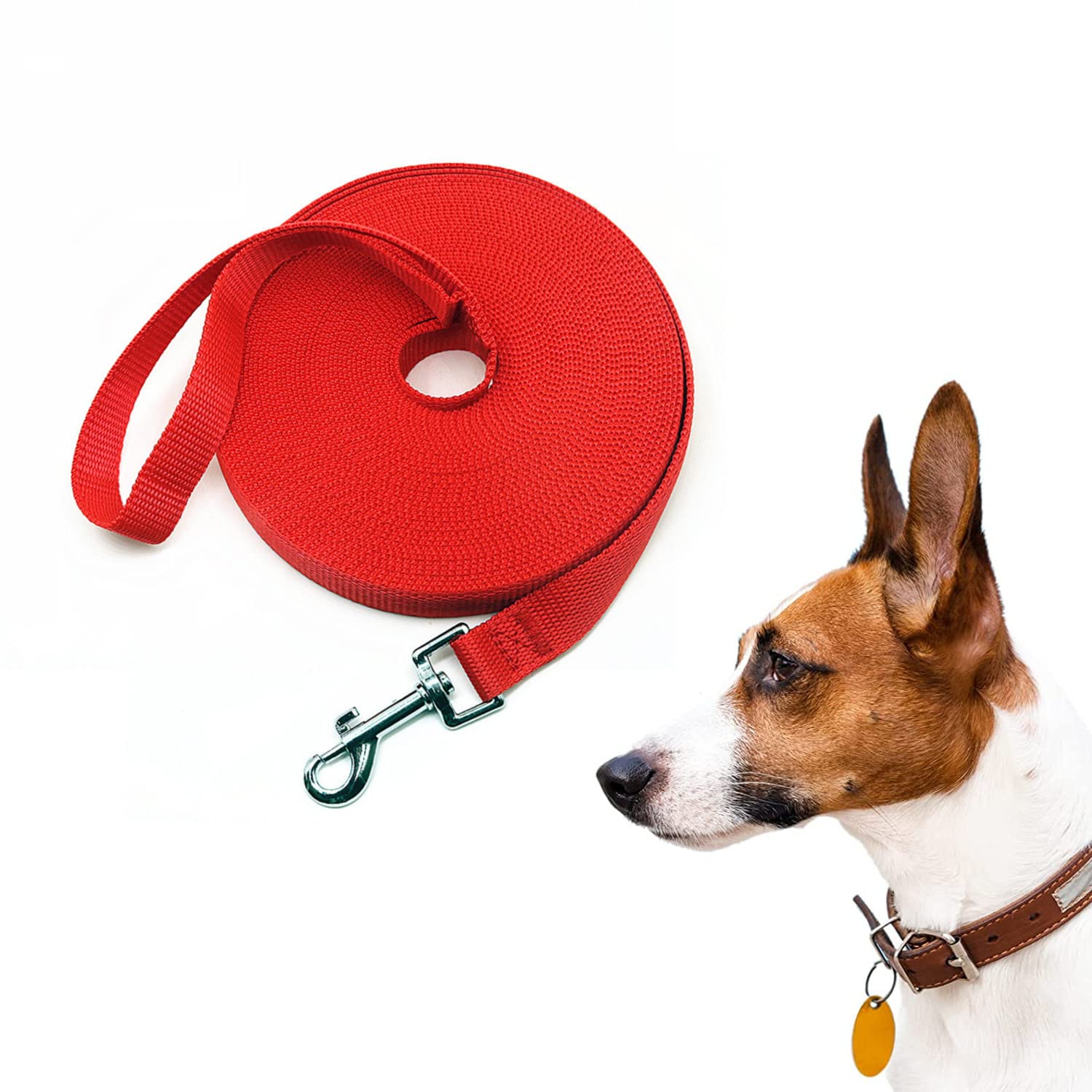 LATRAT Dog Training Lead 0.36 - 30 m Long Lead for Small to Large Dogs (Red, 10 m x 1.5 cm 32 ft)