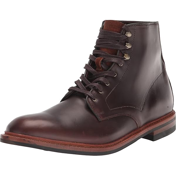 Amazon.com | Allen Edmonds Mens Patton Wp Oxford Brown 7 D