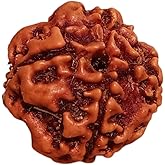 4 Mukhi Rudraksha Bead from Nepal – Lab Certified Natural Four Face Rudraksh for Meditation, Positive Energy & Spiritual Growth – Original Nepali Rudraksha for Daily Puja & Healing Use