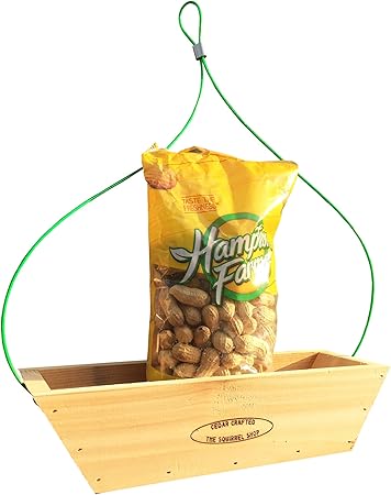 Amazon Com Open Platform Squirrel Feeder With Peanuts Garden