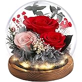 Emibele Valentines Eternal Rose Gifts for Her Girlfriend, Preserved Real Rose in Glass Dome with LED Light, Flowers for Delivery Prime, Birthday Anniversary for Women Wife Mom