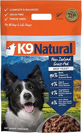 best mixer for raw dog food
