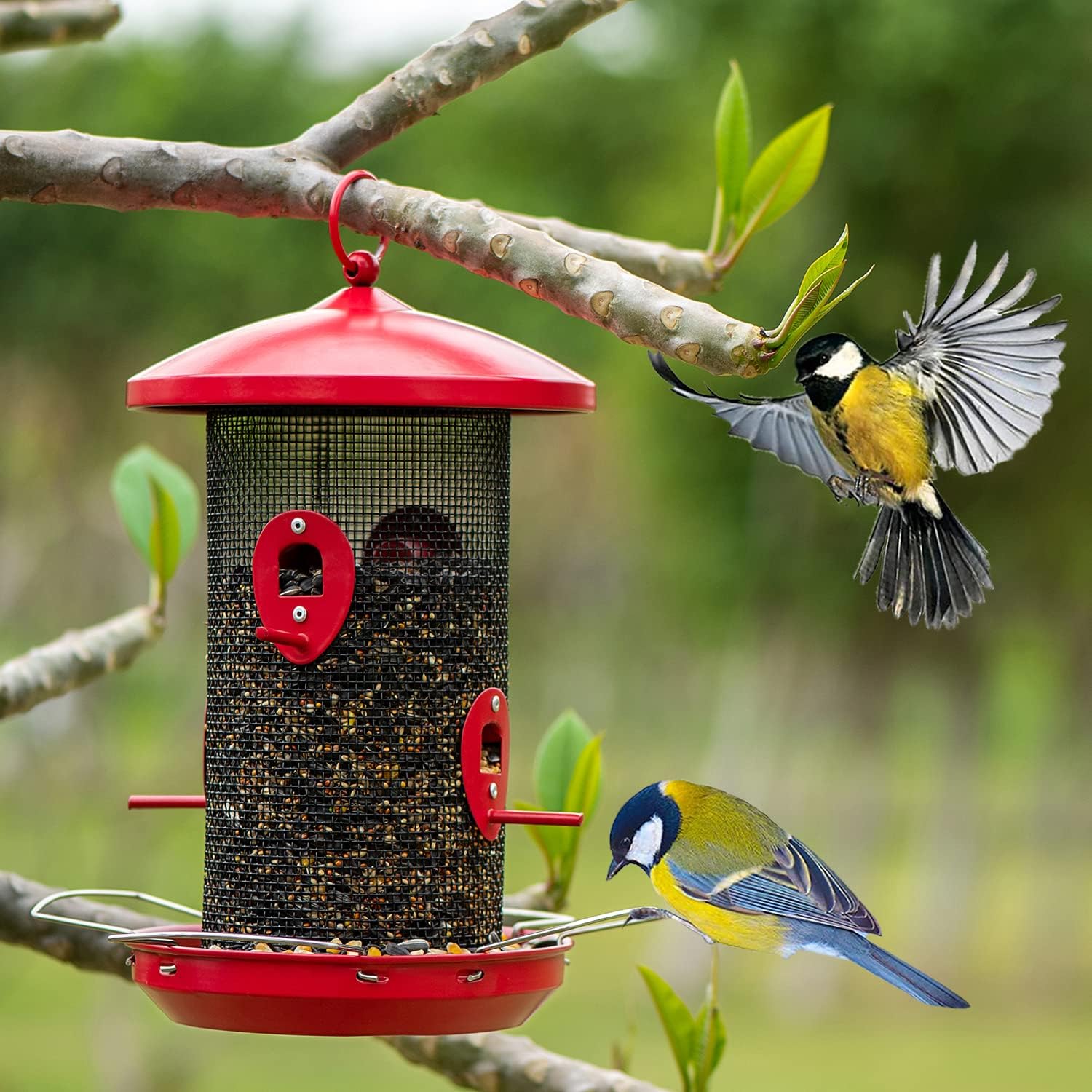 Birdream Bird Feeder for Outside Hanging Metal Mesh Wild Bird Feeders Heavy Duty Large Red Birdfeeder with 4 Feeding Ports Holds More Bird Seed Capacity Decoration for Garden Yard Attracting Birds : Garden & Outdoor