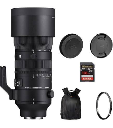 Amazon.com : Sigma 70-200mm f/2.8 APO EX DG HSM OS FLD Large