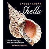 Fascinating Shells: An Introduction to 121 of the World’s Most Wonderful Mollusks