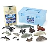 Colorata Marine Mammals Real Figure Box
