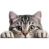Peeping Tabby Cat 5.5-Inch 2-Pack Vinyl Car Stickers, Waterproof Self-Adhesive Bumper Decals for Vehicles – Decorative Car Body Stickers for Laptops, Refrigerators, Suitcases, Removable Anime Decals
