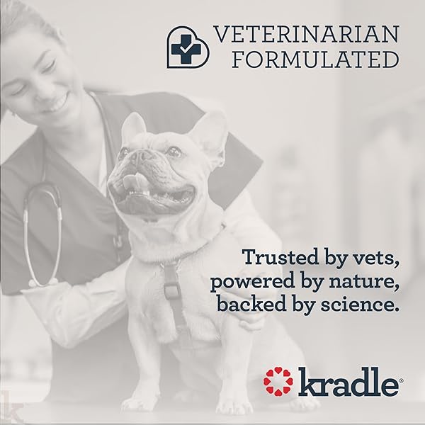 KRADLE BLISS BARS FOR DOGS – PEANUT BUTTER FLAVORED CALMING – GABA L-THEANINE – ON THE GO PACKAGING – SUPPORTS A CALM DEMEANOR – 12 BARS