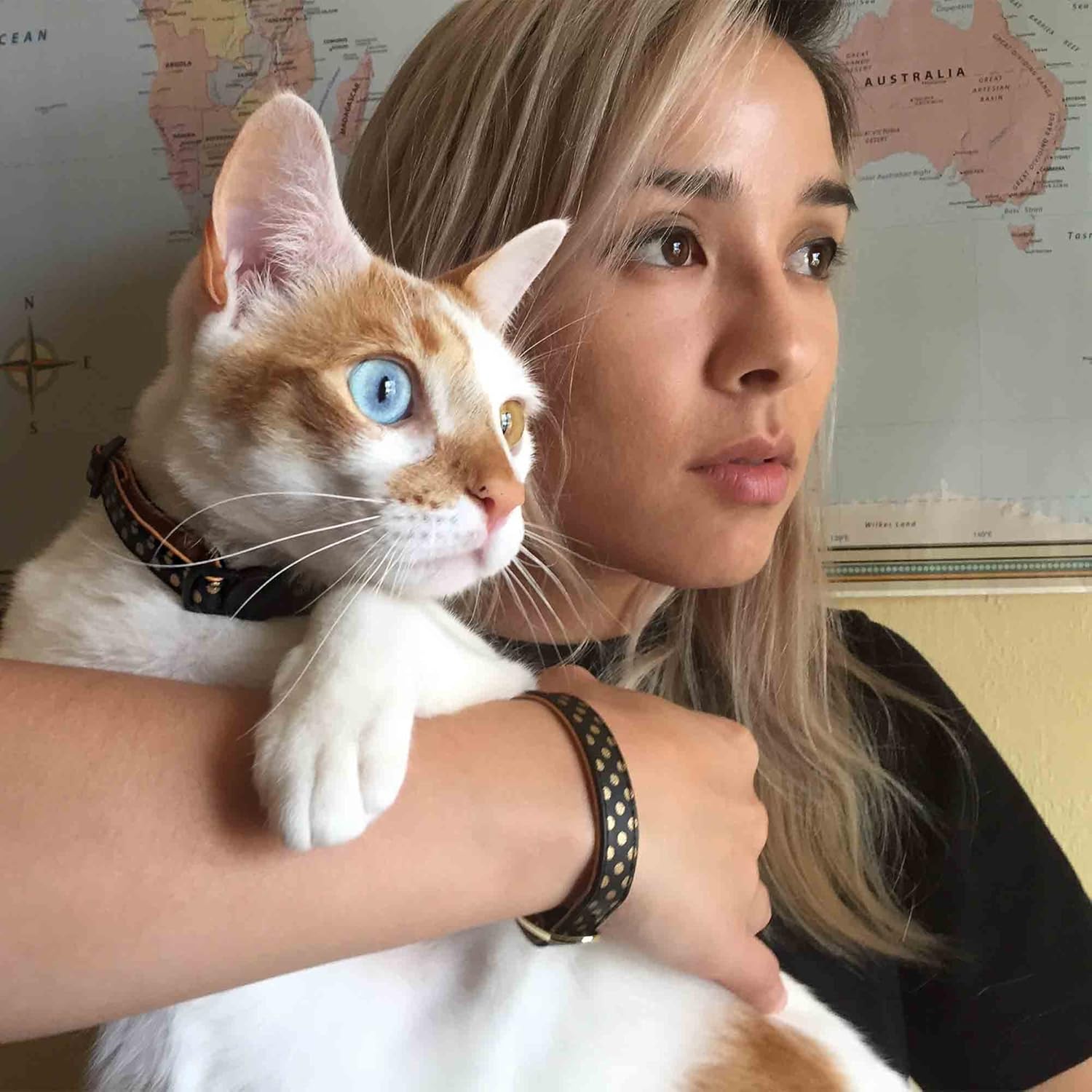 cat friendship collar