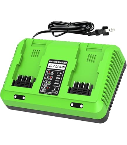 Amazon.com : BECDXPal 40V Dual-Port Charger Compatible with