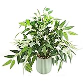 EZBOHO 16" Artificial Willow Leaf Plant in Ribbed Ceramic Pot Lifelike Faux Potted Greenery for Indoor Home Office Table Shelf Living Room Bedroom Bathroom Decor
