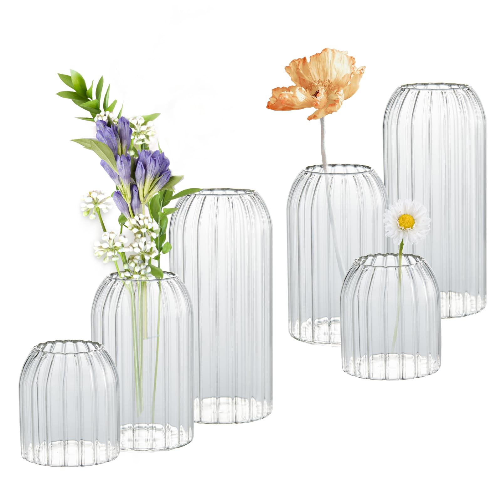Photo 1 of Vases In Bulk Set of 6, Glass Small Vases for Flowers, Modern Cylinder Ribbed Vases for Wedding Centerpiece, Living Room Decorative, Home Decor