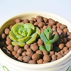 Halatool 8LB Clay Pebbles for Plants 4mm-16mm