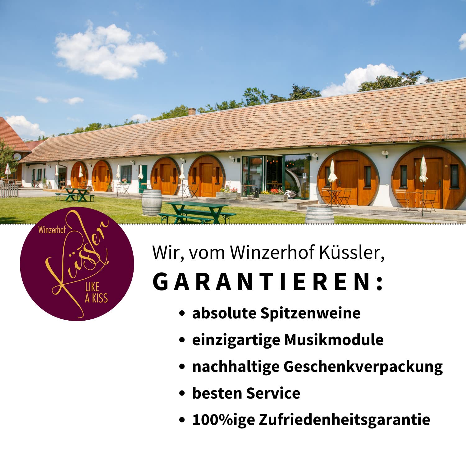 Neu! SINGENDER WEIN zum GEBURTSTAG - ein Cuvée weiß mit eigenem Geburtstags-Lied - im nachhaltigen Geschenkkarton - das ideale Weingeschenk! 6