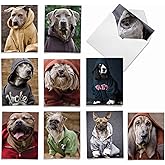 The Best Card Company - 10 Blank Dog Greeting Cards for All Occasions (4 x 5.12 Inch) - Dogs In Da Hood M3733OCB-B1x10-NB