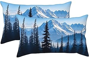 Cold Mountain Landscape Pillow Cases Set of 2, King Pillowcase for Hair and Skin, Super Soft Plush Pillow Case Covers with Hi