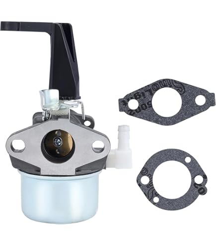 Amazon.com: 215434 Carburetor For Craftsman for Briggs and