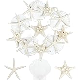 TaoQ C 15 PCS Starfish and Scallop Shells, 2"-4" Natural Seashells White Seashells Large Seashells for Crafts Wedding Decor Beach Theme Party, Fish Tank and Vase Filler