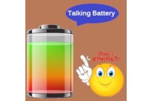 Real Talking Battery