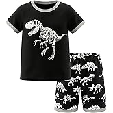 HONGTEYA Toddler Boys Clothes Kids Cotton Clothes Fun Cool Summer Short Wear in Night Size 2-7T