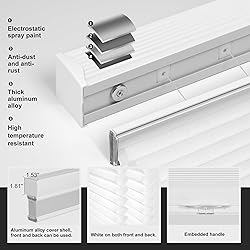 Boolegon Top Down Bottom Up Light Filtering