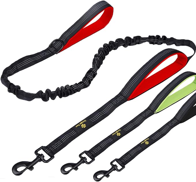 jump bungee leash