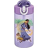 Zak Designs Disney Wish Kids Water Bottle For School or Travel, 16oz Durable Plastic Water Bottle With Straw, Handle, and Lea