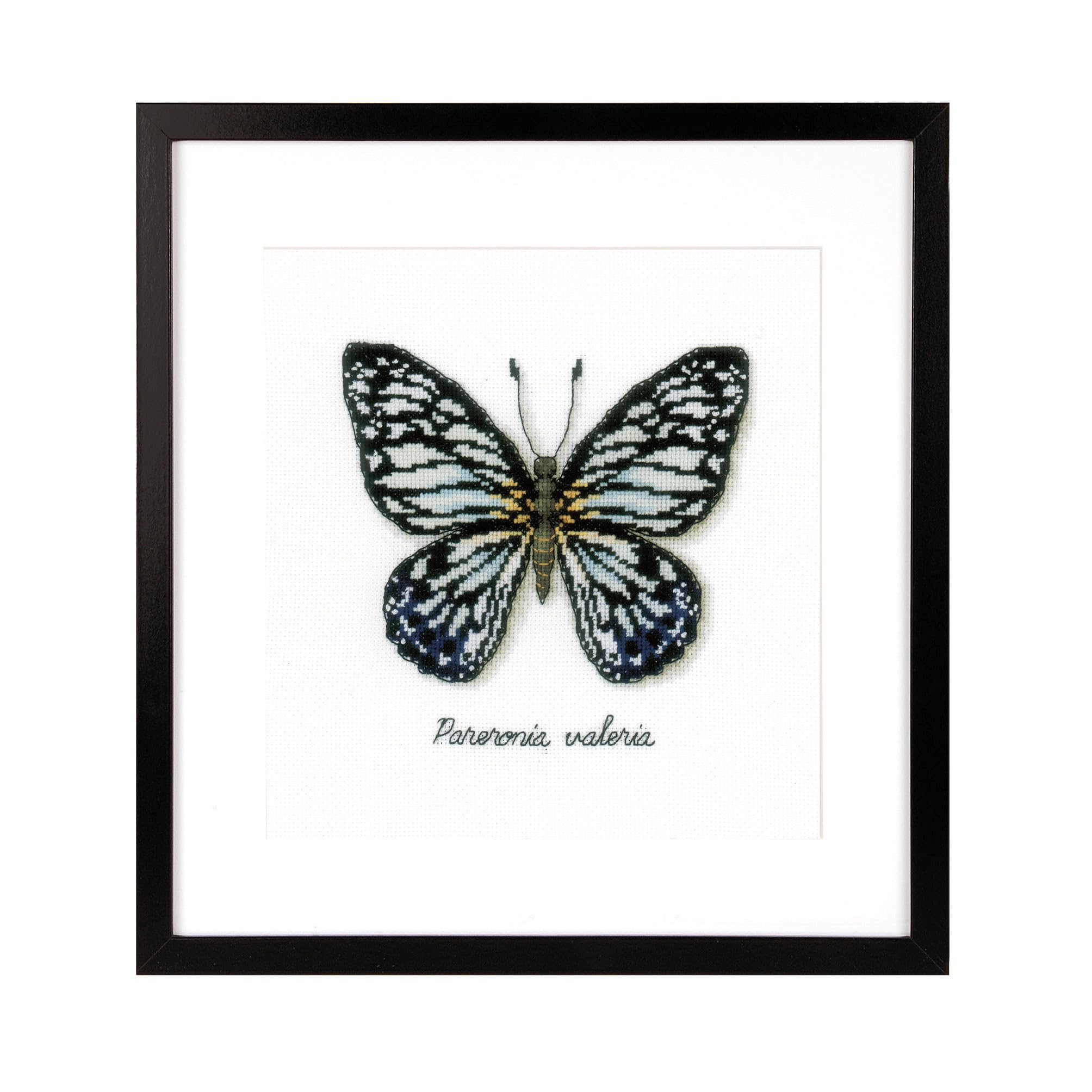 Vervaco Blue Butterfly Counted Cross Stitch Kit, Multi-Colour