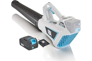 RB 40V 6 Speed Brushless Turbo Cordless Leaf Blower Snow Blower Battery Powered Blower Electric for Lawn Care,Small Garden, P