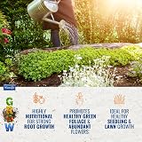 Phostrogen All Purpose Plant Food 800g Fertiliser for Growth & Drought view 5