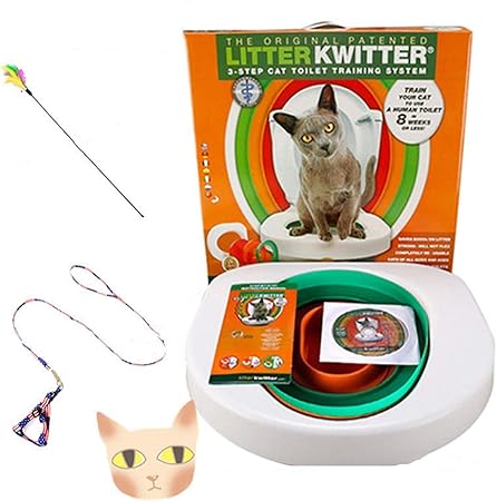 teach cat to use toilet