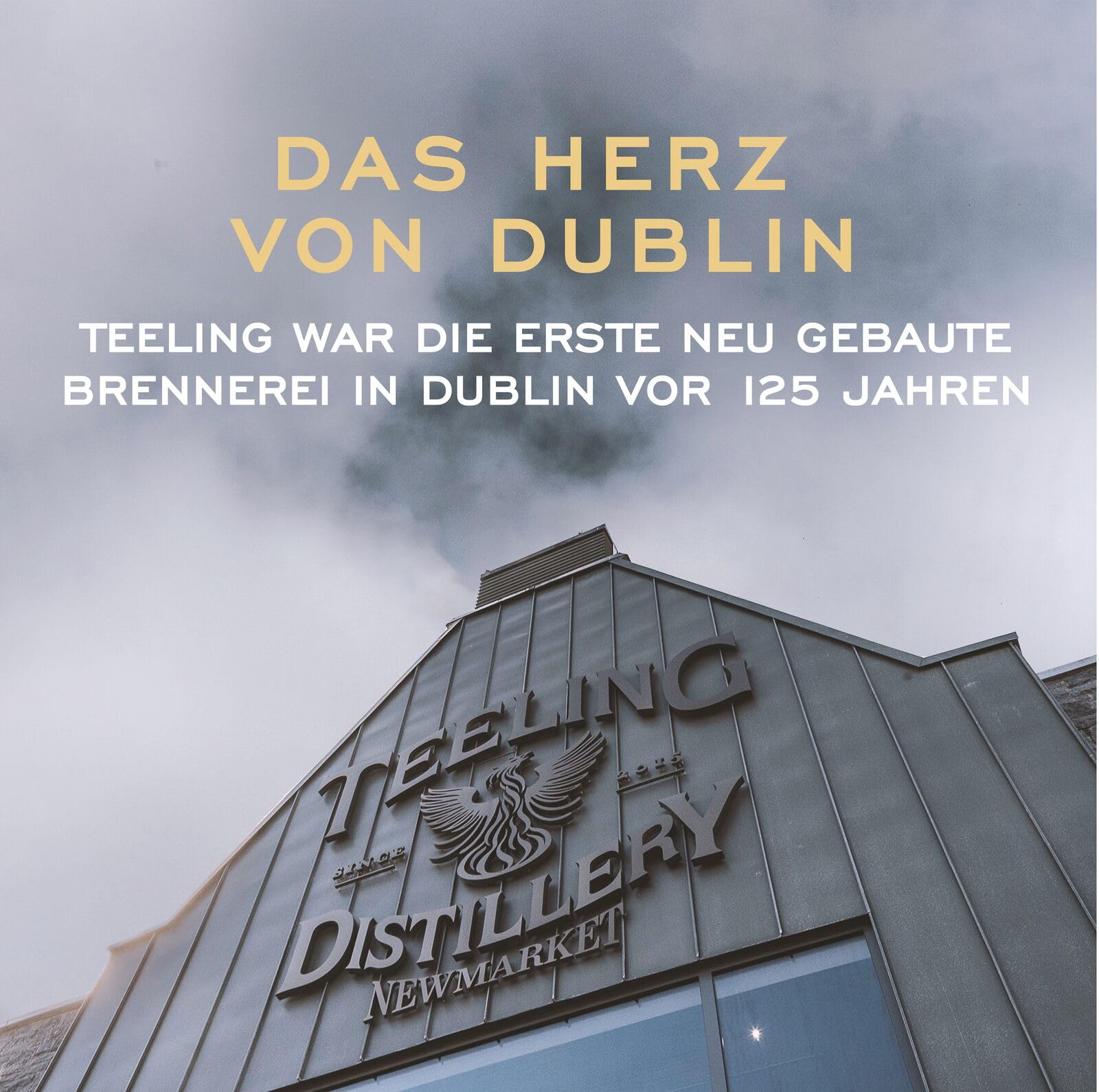Teeling Small Batch Irish Whiskey, gereift in Ex-Bourbonfässern und abgerundet in mittelamerikanischen Rumfässern, 46% vol., 70cl / 700ml 9