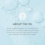 Tisserand Eucalyptus Essential Oil 100% Pure 9ml Aromatherapy Diffuser view 3
