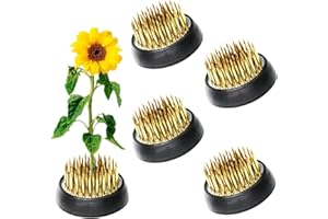 EGGONE 5Pcs Flower Frogs 34mm/1.34inch Diameter Japanese Ikebana Kenzan Flower Pin Frog Ikebana Flower Arrangement Holder…