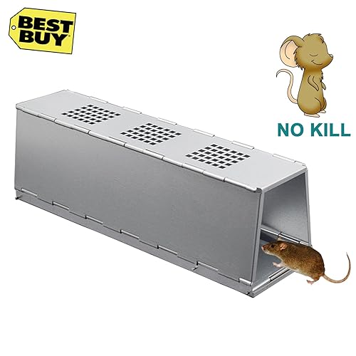 The Big Cheese Rat Cage Trap (Large, Humane, LiveCatch Trap, Use