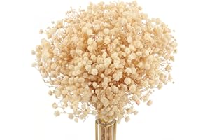 MIHUAGE Dried Flowers Baby’s Breath One Big Bundles 17.2" 4oz 3000+ Ivory Gypsophila 100% Natural Real for Wedding DIY Arrang