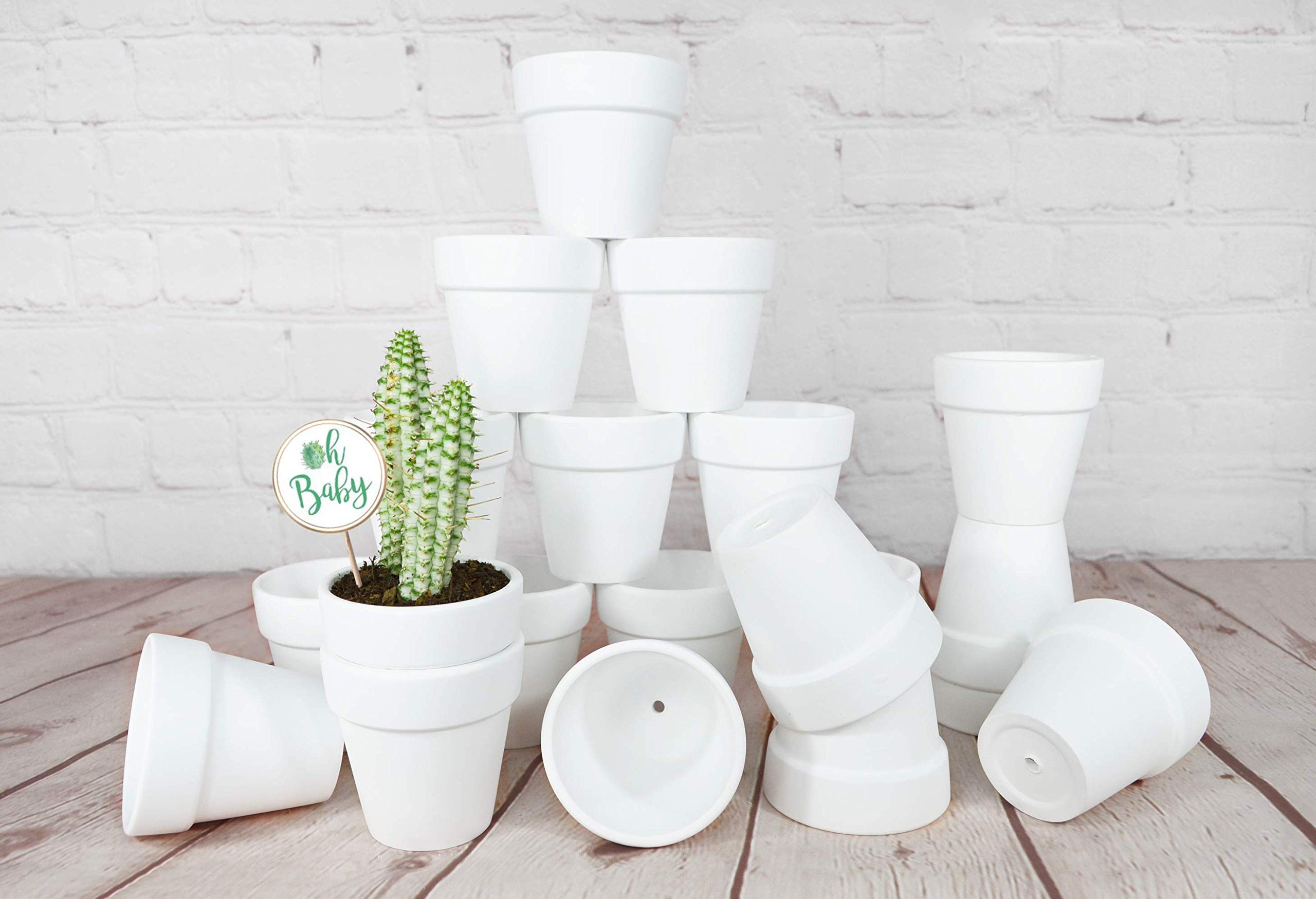 My Urban Crafts 20 Pcs White Terracotta Clay Pots 2.5 Inch Small