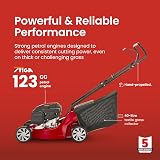 Mountfield HP41 Hand-Propelled Petrol Lawn Mower 39cm 123cc ST120 250m² view 3
