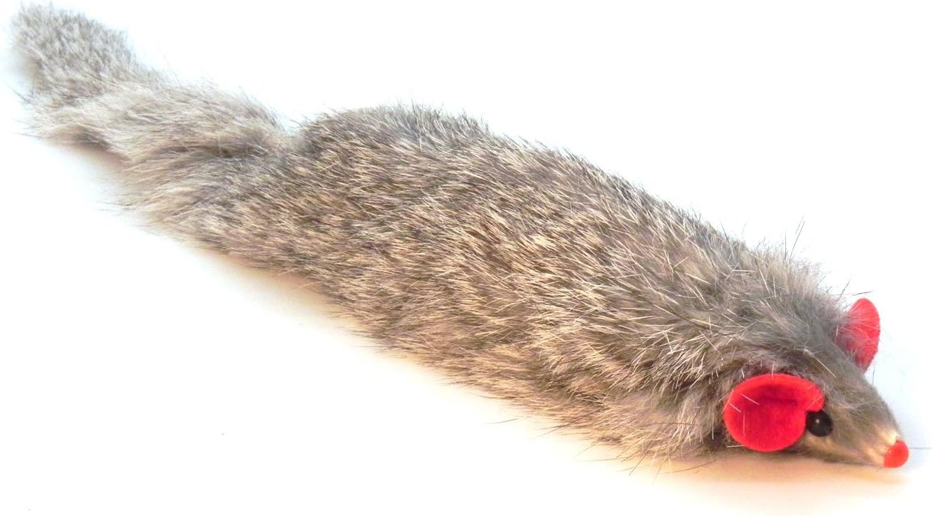 ferret cat toy